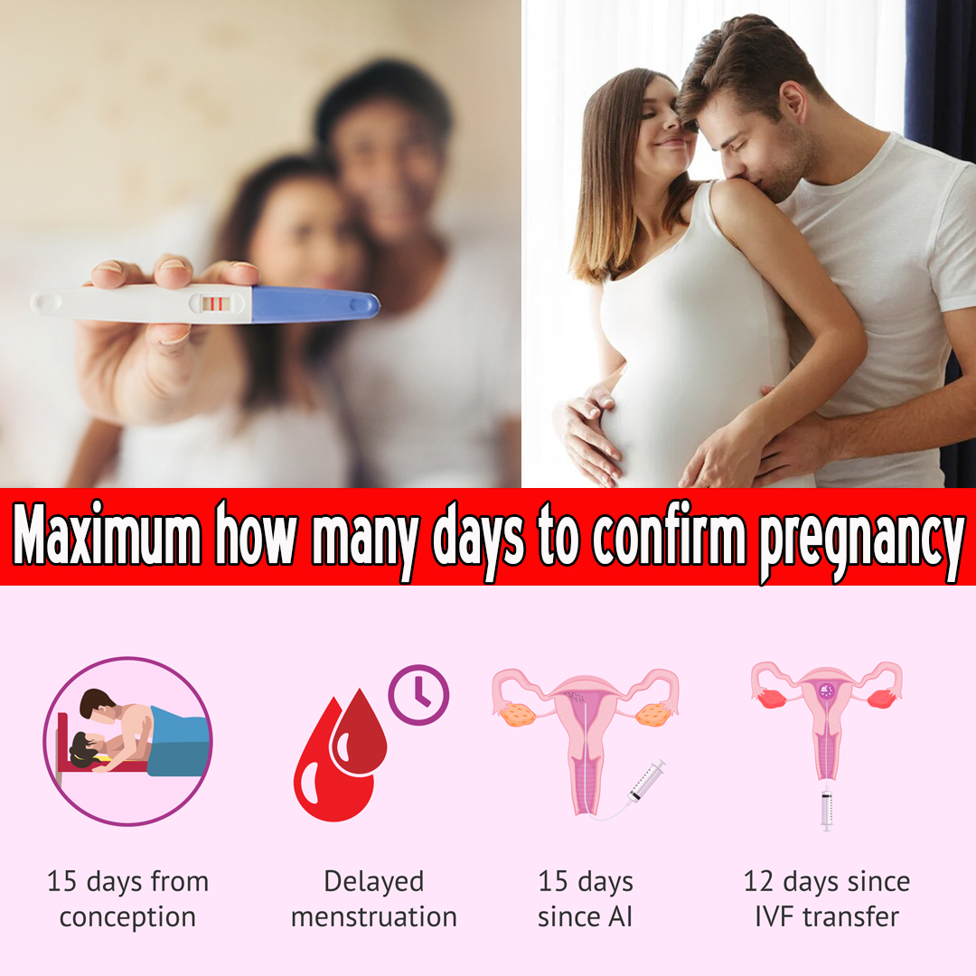 Maximum how many days to confirm pregnancy