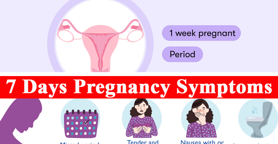 7 Days Pregnancy Symptoms