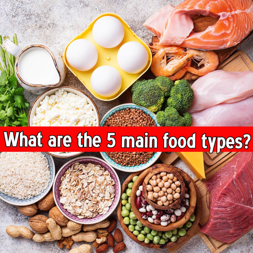 What are the 5 main food types?