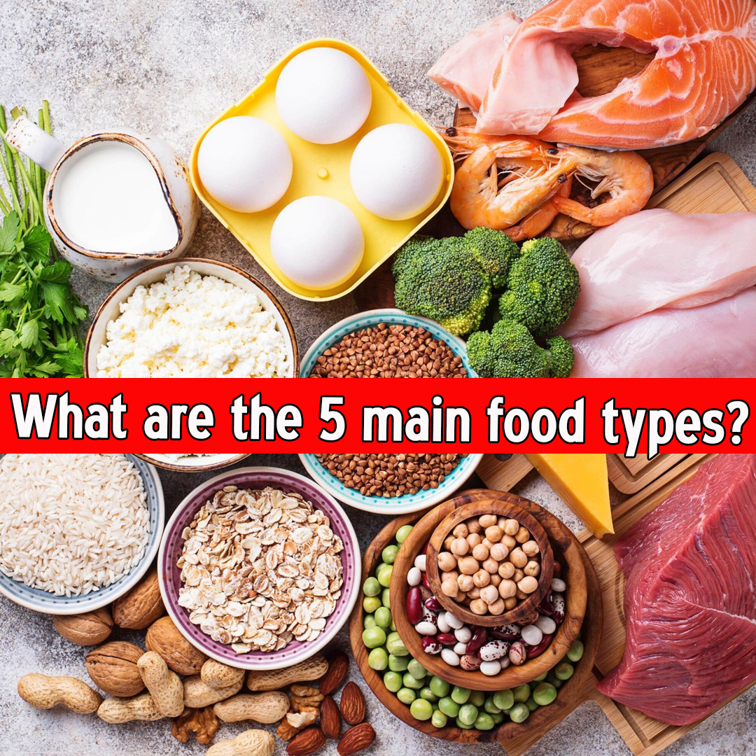 What are the 5 main food types?