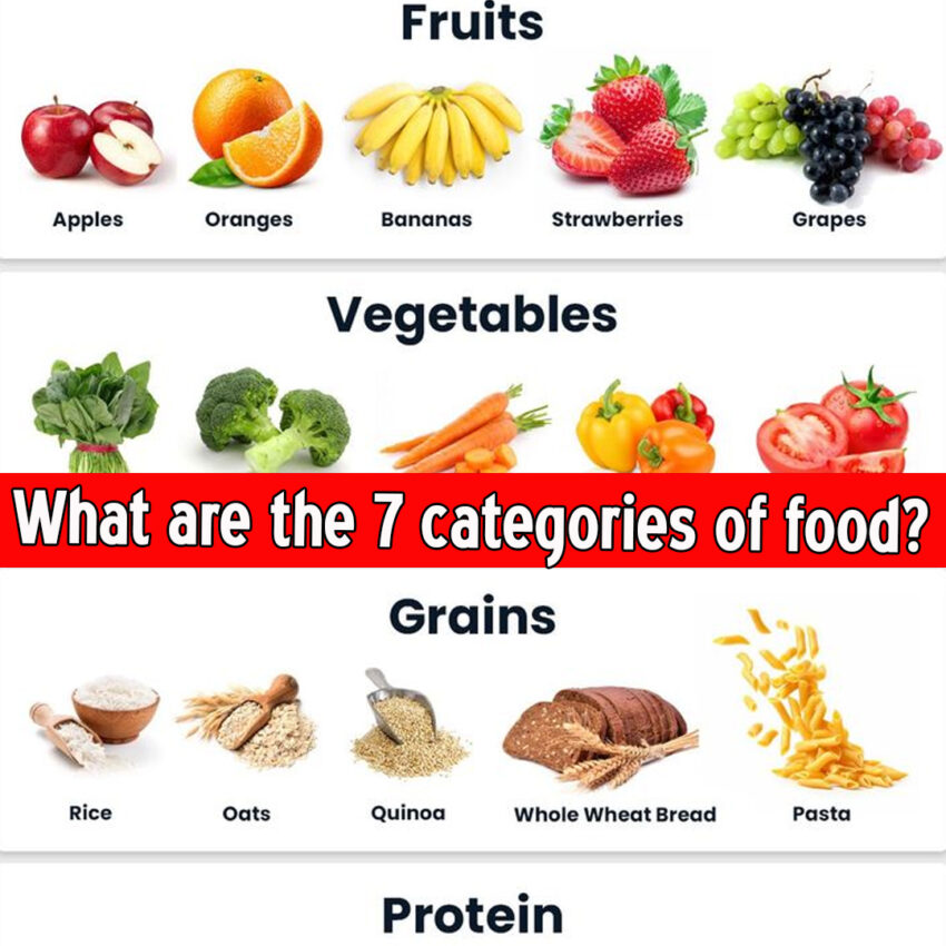 What Are the 7 Categories of Food?
