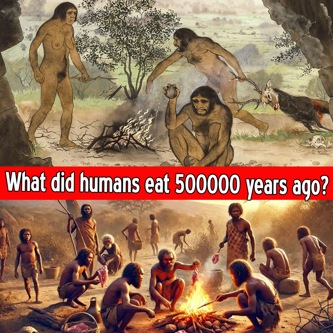 What did humans eat 500000 years ago?