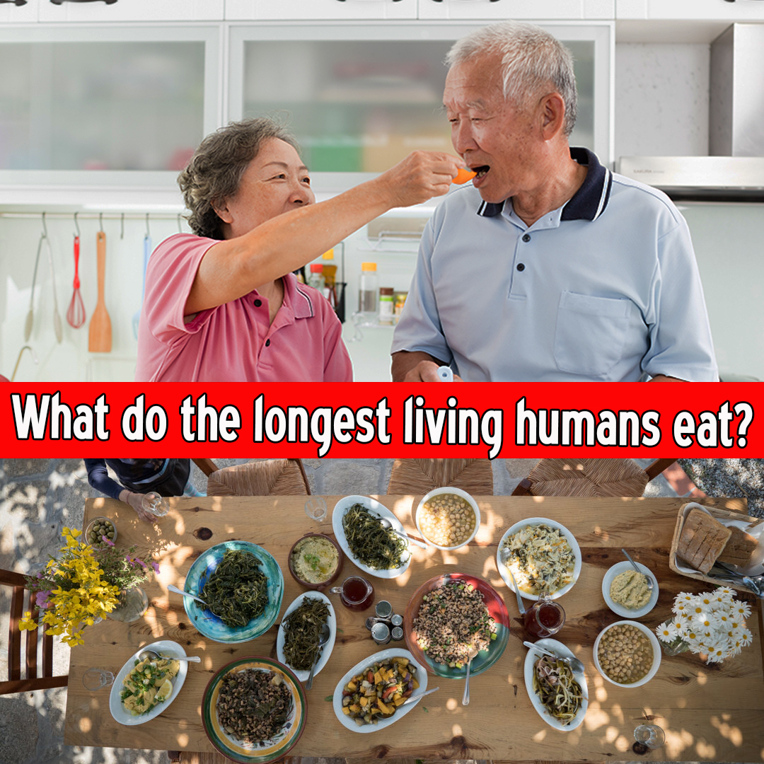 What do the longest living humans eat?
