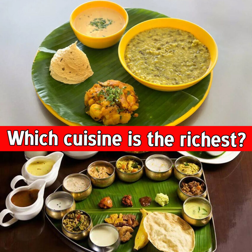 Which cuisine is the richest?