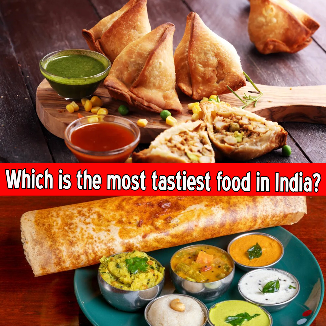 Which is the tastiest food in India?