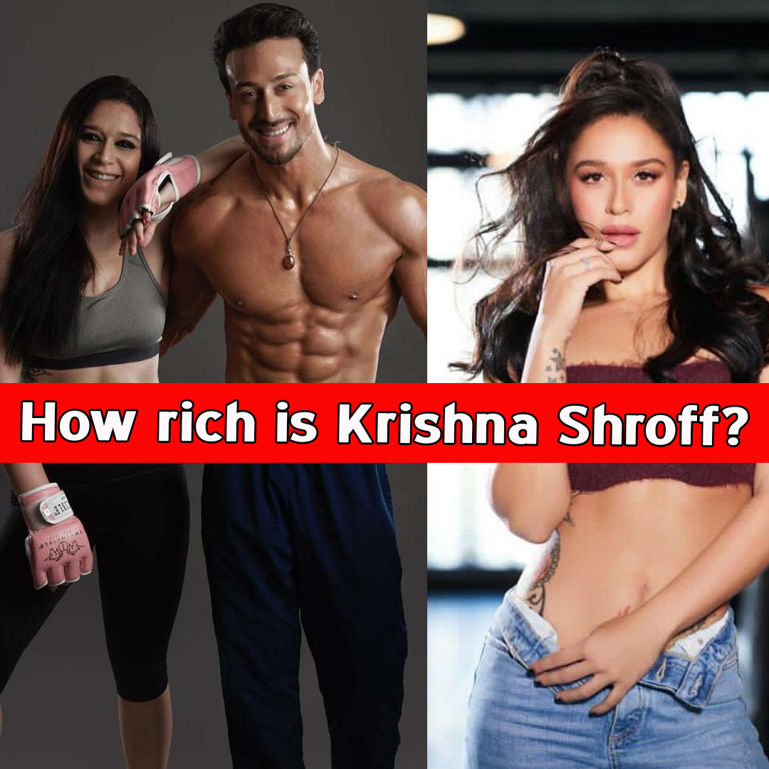 How rich is Krishna Shroff?