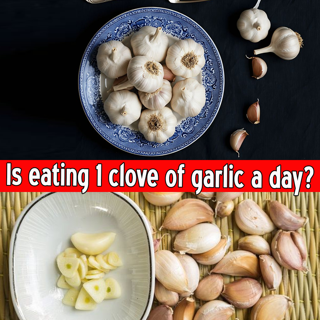 Is eating 1 clove of garlic a day?