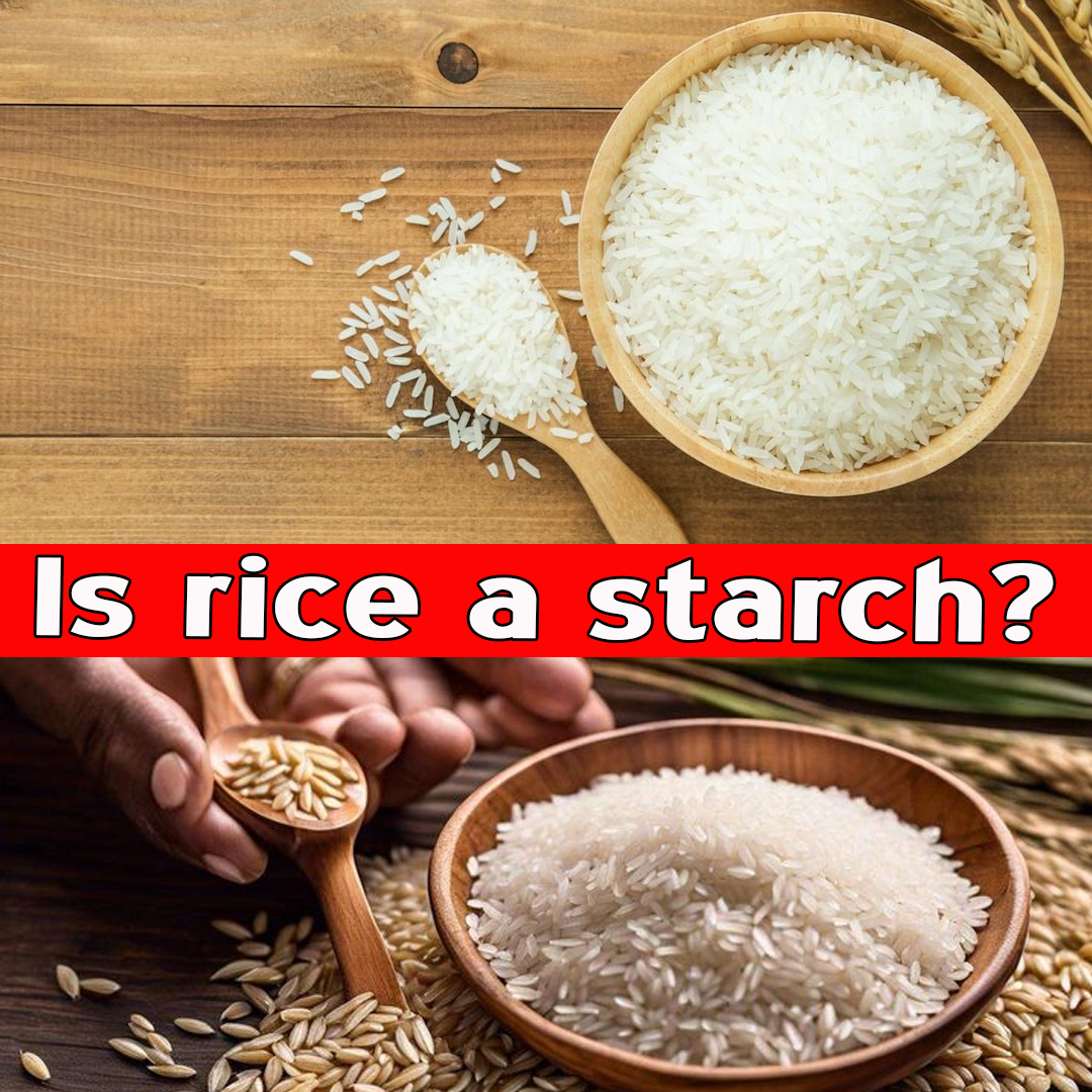 Is rice a starch?