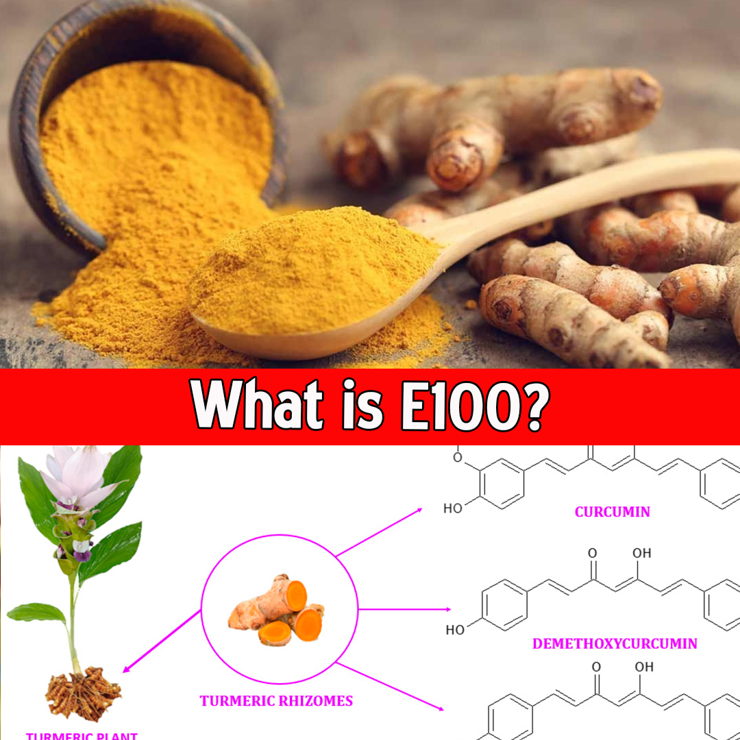 What is E100?