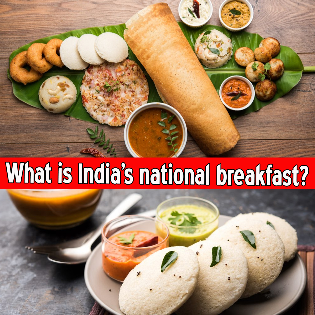 What is India's national breakfast?