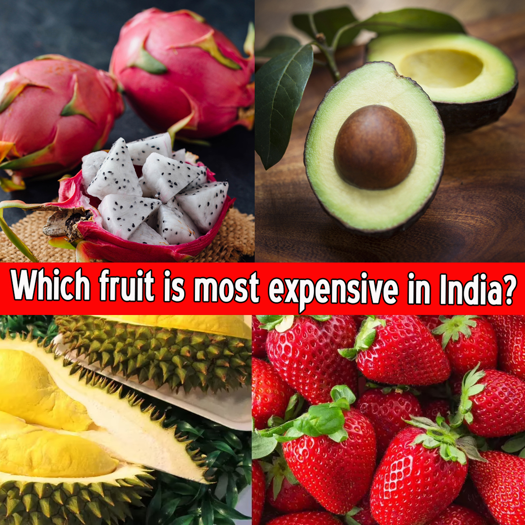 Which fruit is most expensive in India?